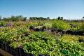 Impressie van het verkoopterrein van Groen Groep Eelde