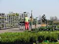 Impressie van het verkoopterrein van Groen Groep Eelde