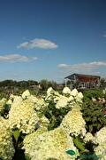 Impressie van het verkoopterrein van Groen Groep Eelde