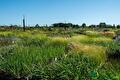 Impressie van het verkoopterrein van Groen Groep Eelde