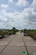 Impressie van het verkoopterrein van Groen Groep Eelde