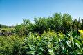 Impressie van het verkoopterrein van Groen Groep Eelde