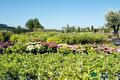 Impressie van het verkoopterrein van Groen Groep Eelde