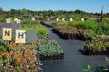 Impressie van het verkoopterrein van Groen Groep Eelde