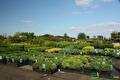 Impressie van het verkoopterrein van Groen Groep Eelde