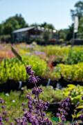Impressie van het verkoopterrein van Groen Groep Eelde