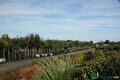 Impressie van het verkoopterrein van Groen Groep Eelde