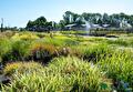 Impressie van het verkoopterrein van Groen Groep Eelde